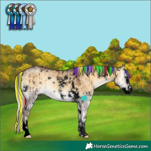 Horse Color:Void Painted White Spotted Chocolate Silver Buckskin Onyx Splash Brindle