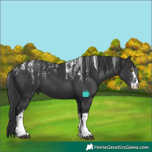 Horse Color:Powder White White Spotted Black