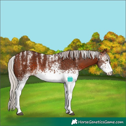 Horse Color:Powder White White Spotted Silver Brown