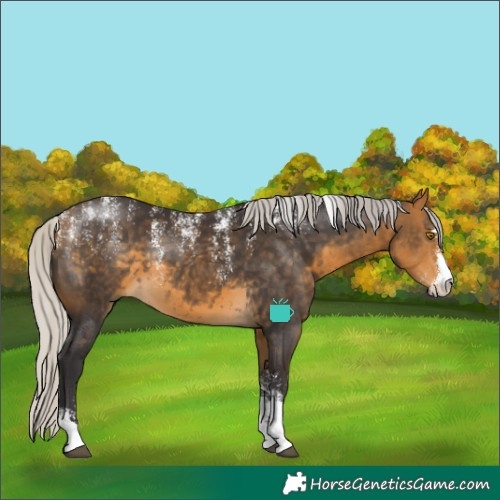 Horse Color:Powder White Silver Buckskin