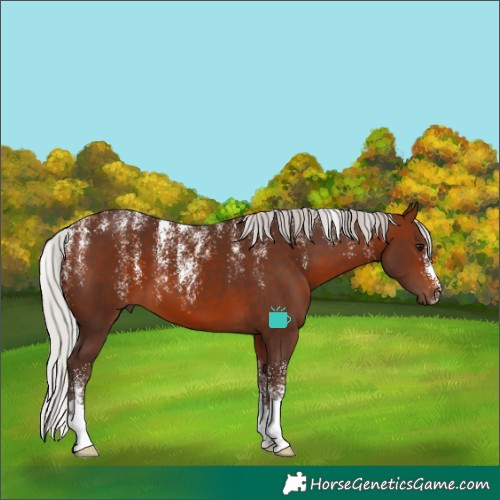 Horse Color:Powder White Silver Bay