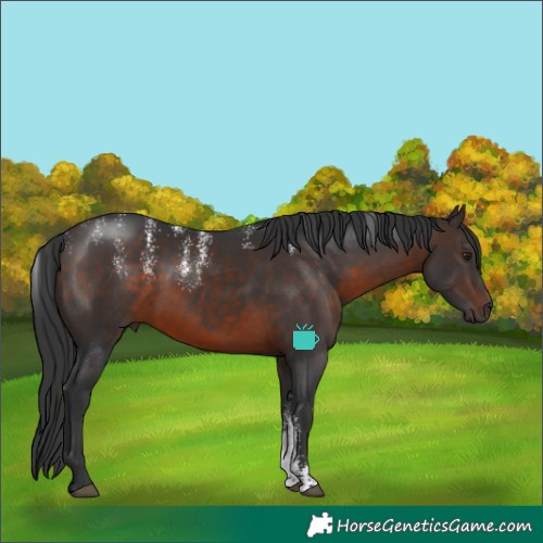 Horse Color:Powder White Brown