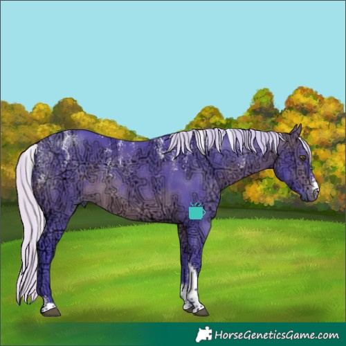 Horse Color:Powder White Watercolor Silver Brown Ice
