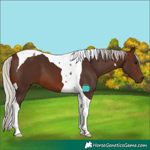 Horse Color:Silver Brown Tobiano
