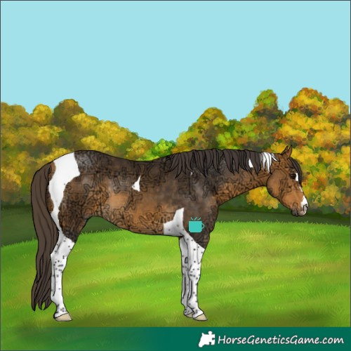 Horse Color:Buckskin Ice Tobiano