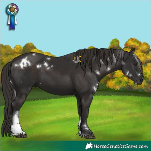 Horse Color:White Spotted Liver Chestnut Tobiano