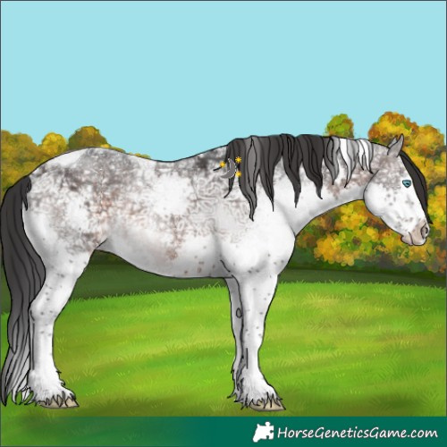 Horse Color:White Spotted Brown Ice Splash Tobiano 