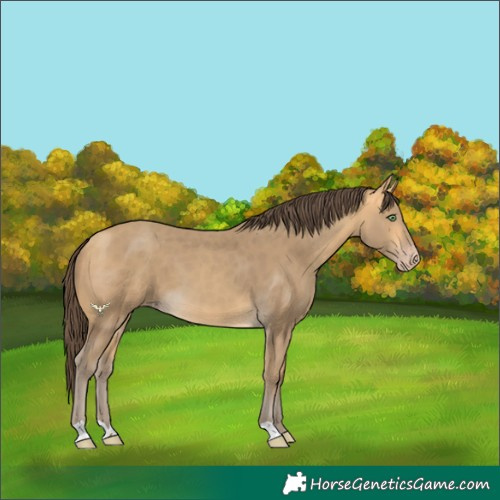 Horse Color:Amber Cream Champagne 