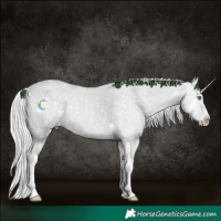 Horse Color:Silver Classic Champagne Chinchilla Dun Splash 
