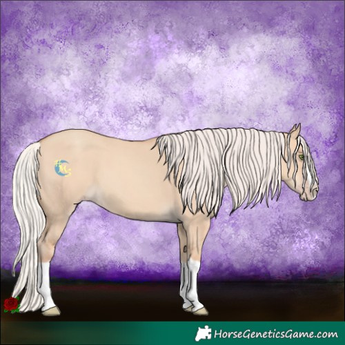Horse Color:Silver Classic Champagne Dun Splash Frame 