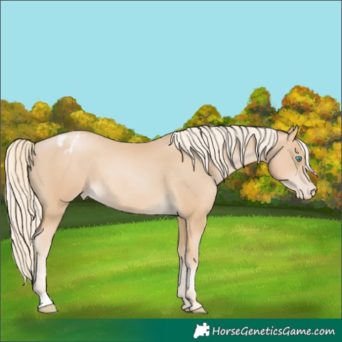 Horse Color:Palomino Pearl Varnish