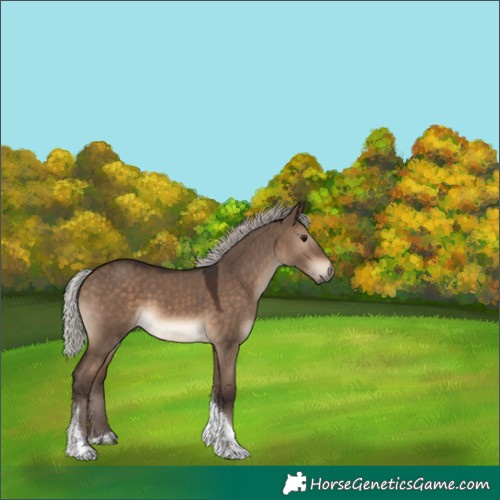 Horse Color:Silver Brown Dun Tobiano Rabicano 