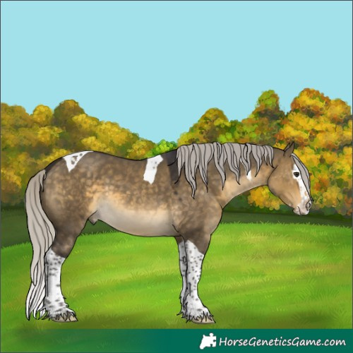 Horse Color:Silver Buckskin Dun Splash Tobiano 