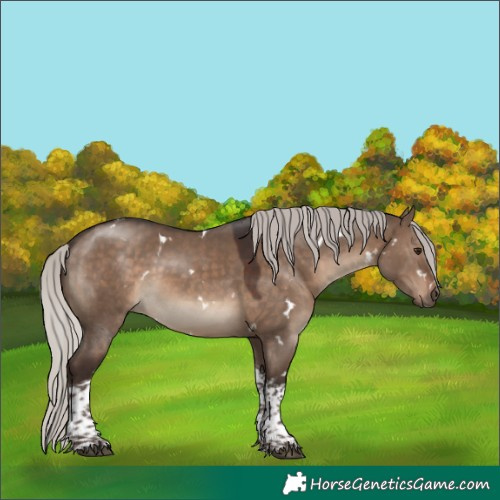 Horse Color:White Spotted Silver Brown Dun Tobiano 