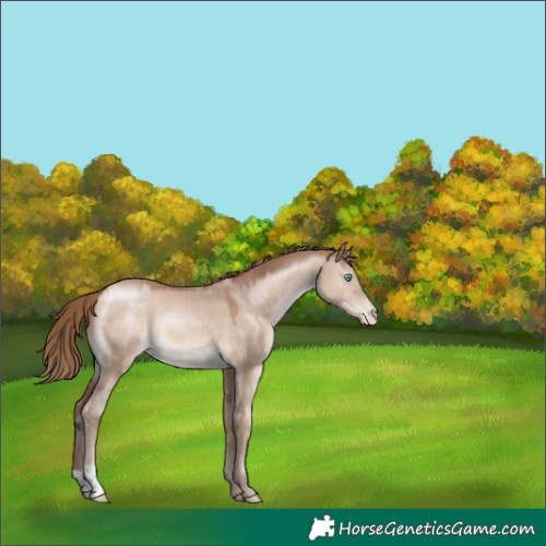 Horse Color:Brown Pearl Dun Mushroom 