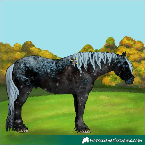 Horse Color:ERROR: UNKNOWN ANOMALY