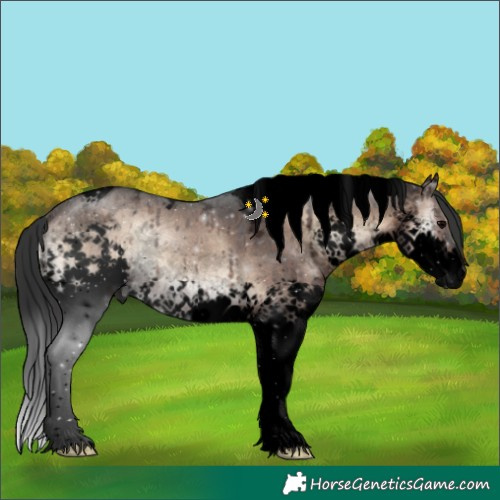 Horse Color:Void Brown Ice Onyx Splash Tobiano Rabicano
