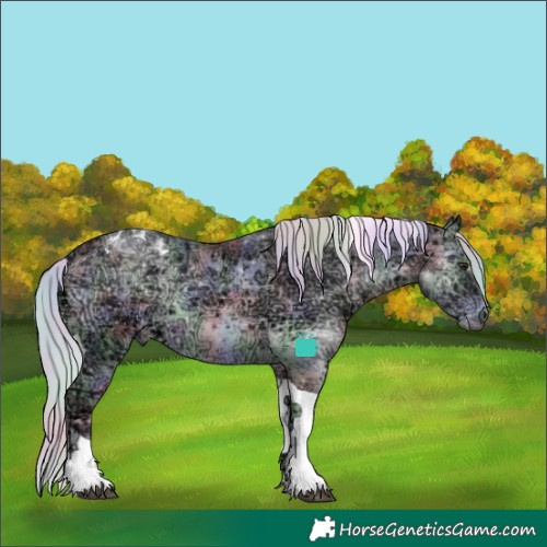 Horse Color:Nacre Silver Blue Onyx Chinchilla Ice Tobiano