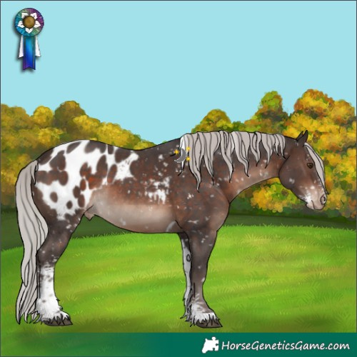 Horse Color:Silver Brown Mushroom Sabino Tobiano Blanket Rabicano