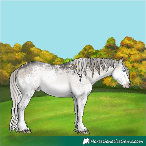 Horse Color:Silver Smoky Blue Onyx Ice Splash Tobiano Rabicano