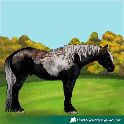 Horse Color:Void Silver Brown Ice Sabino Splash Tobiano Rabicano 