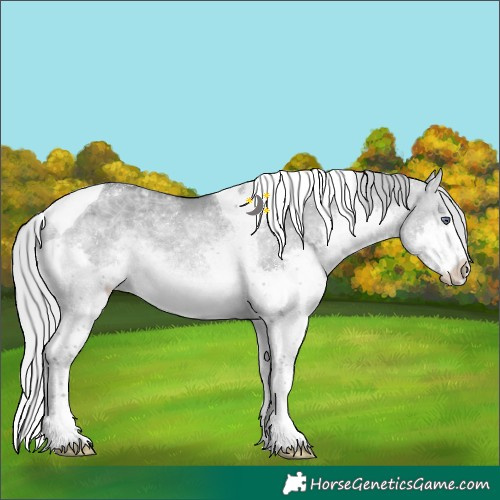 Horse Color:Silver Brown Chinchilla Ice Dun Splash Tobiano Rabicano