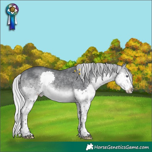 Horse Color:Silver Brown Chinchilla Splash Tobiano