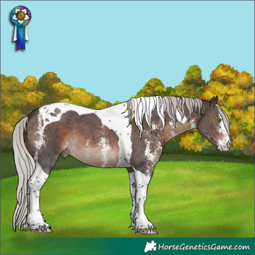Horse Color:Silver Brown Sabino Tobiano