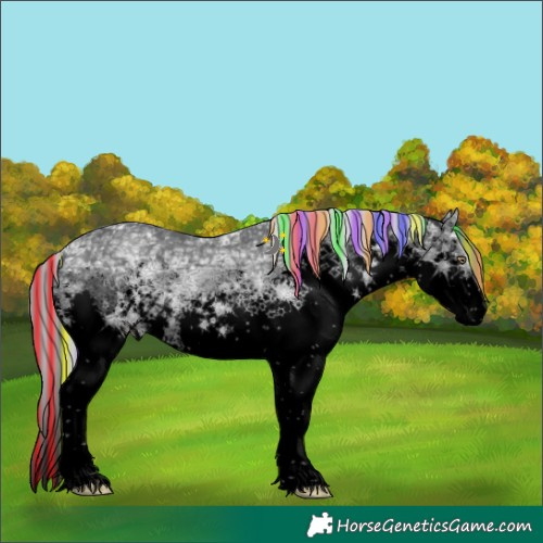 Horse Color:Void Painted Silver Black Chinchilla Ice Sabino Splash
