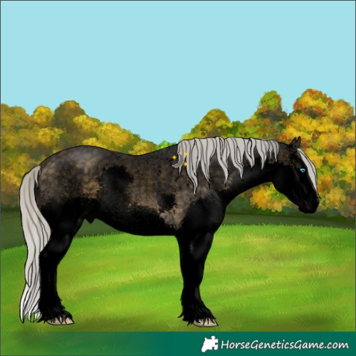 Horse Color:Void Silver Buckskin Sabino Splash