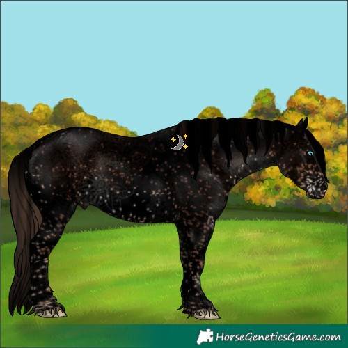 Horse Color:Void Liver Chestnut Sabino Splash Snowflake Varnish 