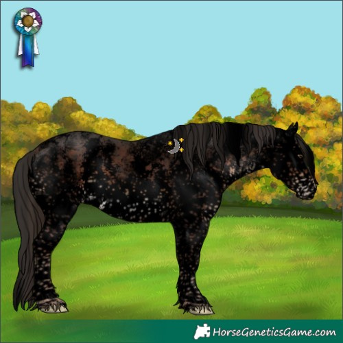 Horse Color:Void White Spotted Liver Chestnut Sabino Snowflake Varnish 