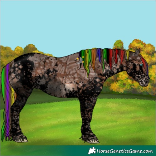 Horse Color:Void Painted White Spotted Liver Chestnut Ice Splash Tobiano Snowflake Varnish Rabicano