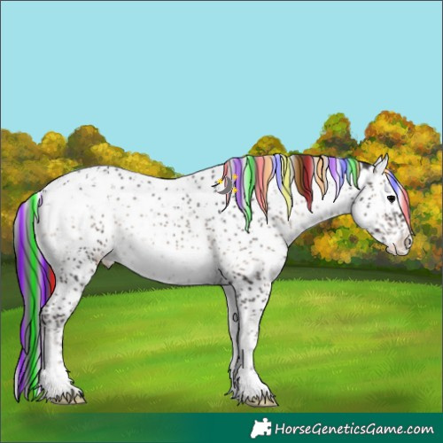 Horse Color:Painted Blue Onyx Sabino Snowflake Varnish 