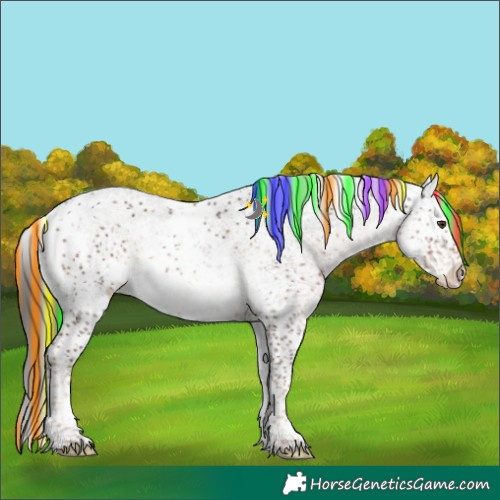 Horse Color:Painted Liver Chestnut Ice Sabino Snowflake Varnish