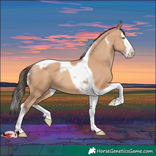 Horse Color:Amber Champagne Splash Tobiano 