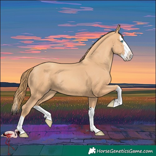 Horse Color:Gold Champagne Splash 