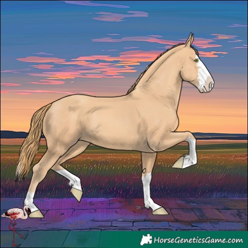 Horse Color:Gold Champagne Splash 