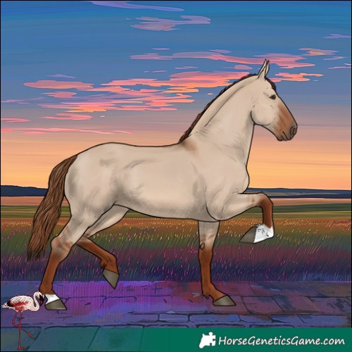Horse Color:Red Dun 