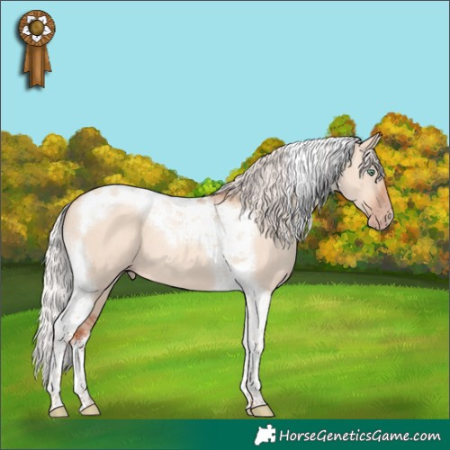 Horse Color:Silver Classic Champagne Dun Tobiano 