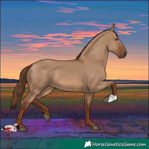 Horse Color:Red Dun 