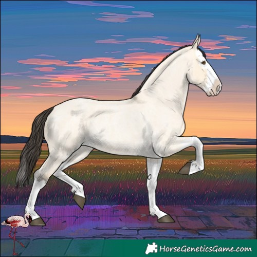 Horse Color:Buckskin Roan Dun Splash