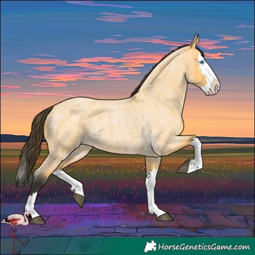 Horse Color:Buckskin Roan Dun Splash 