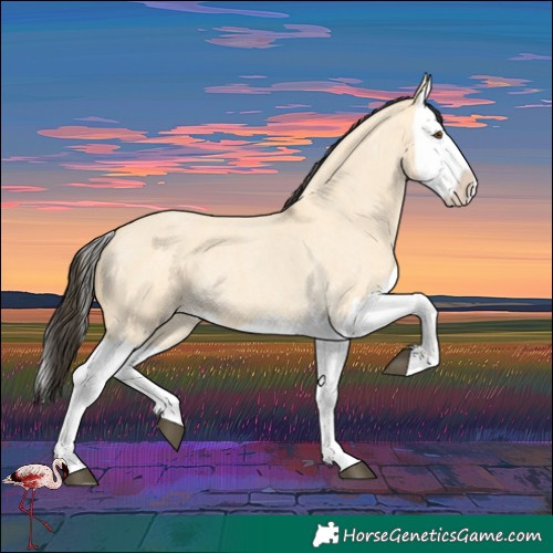 Horse Color:Buckskin Roan Dun Splash