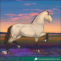 Horse Color:Buckskin Roan Dun Splash