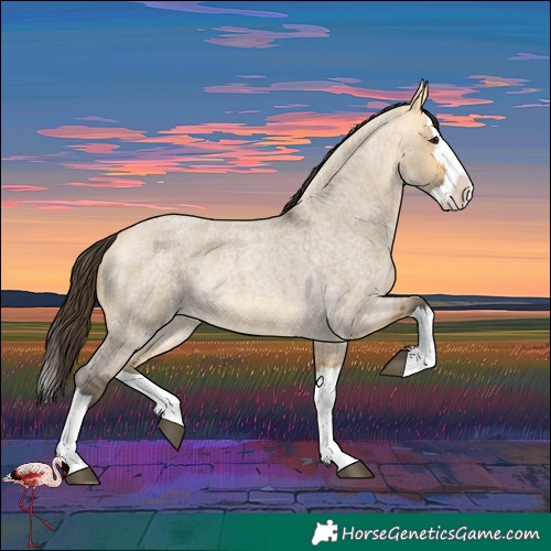 Horse Color:Buckskin Roan Dun Splash 