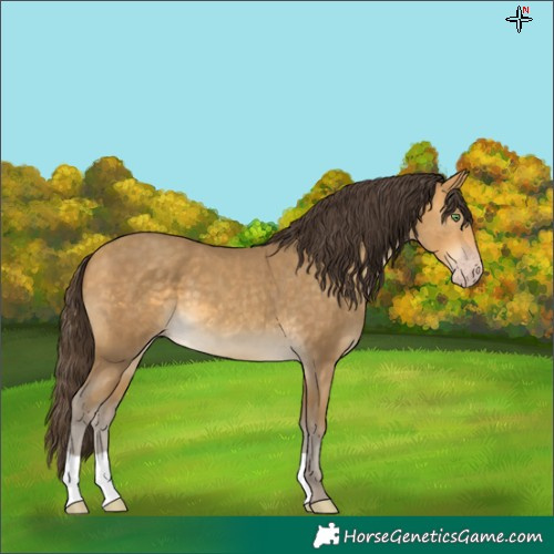 Horse Color:Sable Cream Champagne 