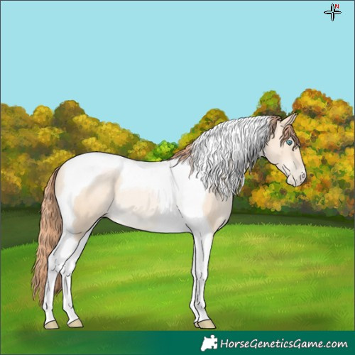 Horse Color:Classic Cream Champagne Pearl Tobiano