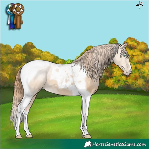 Horse Color:Smoky Black Pearl Tobiano