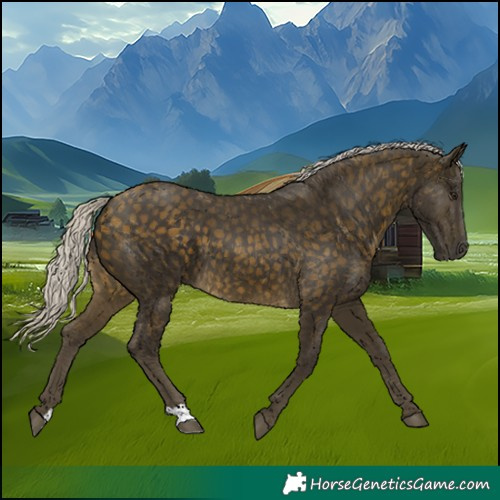 Horse Color:Silver Buckskin 